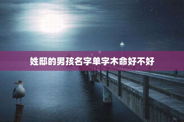 姓邸的男孩名字单字木命好不好