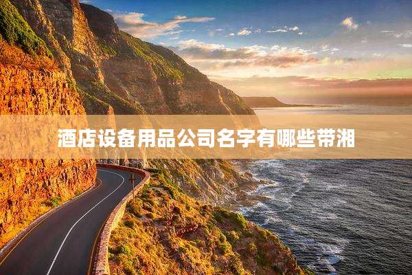 酒店设备用品公司名字有哪些带湘