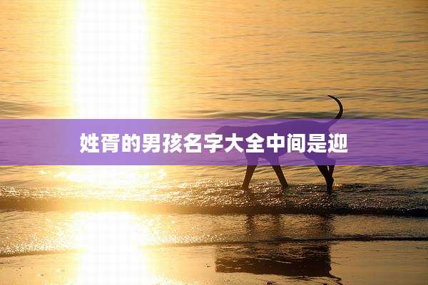 姓胥的男孩名字大全中间是迎