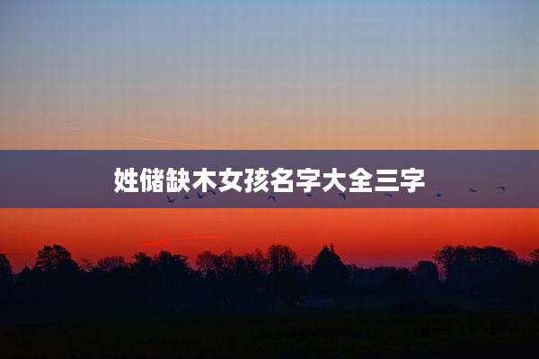 姓储缺木女孩名字大全三字
