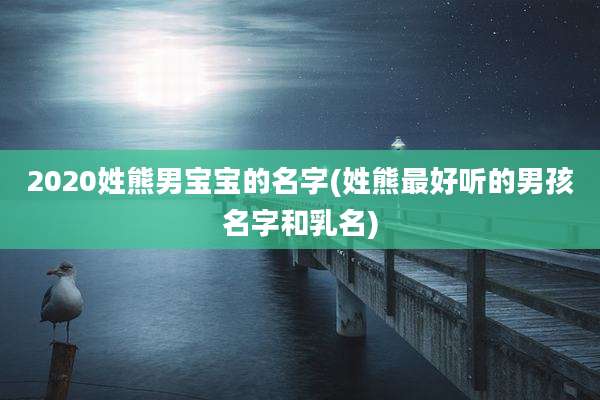 2020姓熊男宝宝的名字(姓熊最好听的男孩名字和乳名)