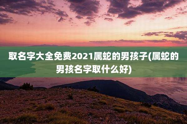 取名字大全免费2021属蛇的男孩子(属蛇的男孩名字取什么好)