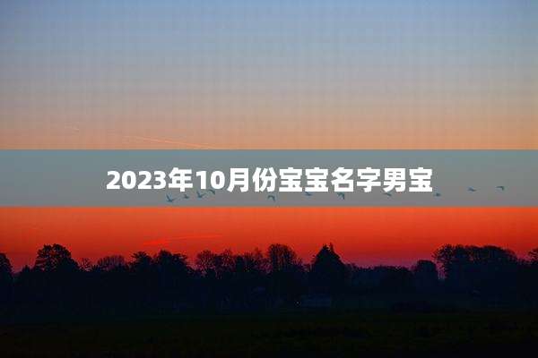 2023年10月份宝宝名字男宝