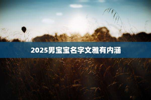 2025男宝宝名字文雅有内涵