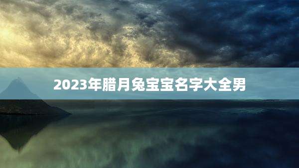 2023年腊月兔宝宝名字大全男