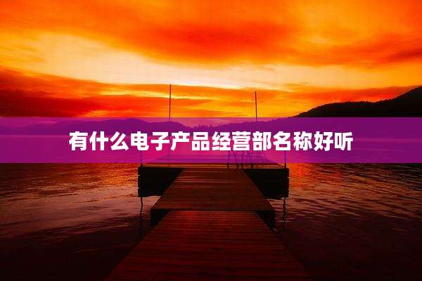 有什么电子产品经营部名称好听
