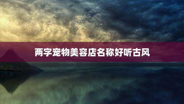 两字宠物美容店名称好听古风