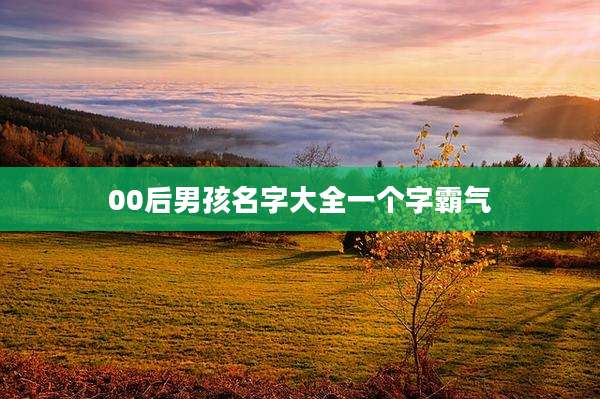 00后男孩名字大全一个字霸气