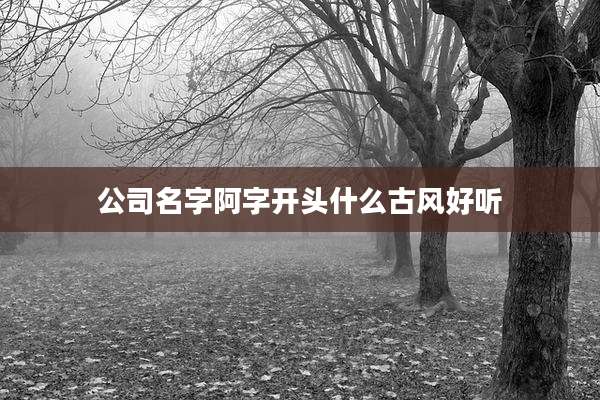 公司名字阿字开头什么古风好听