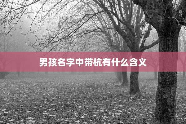男孩名字中带杭有什么含义