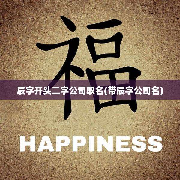 辰字开头二字公司取名(带辰字公司名)