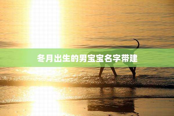 冬月出生的男宝宝名字带建