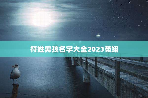 符姓男孩名字大全2023带翊