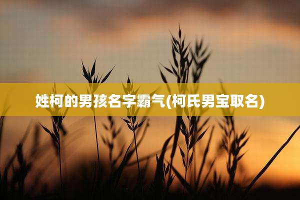 姓柯的男孩名字霸气(柯氏男宝取名)