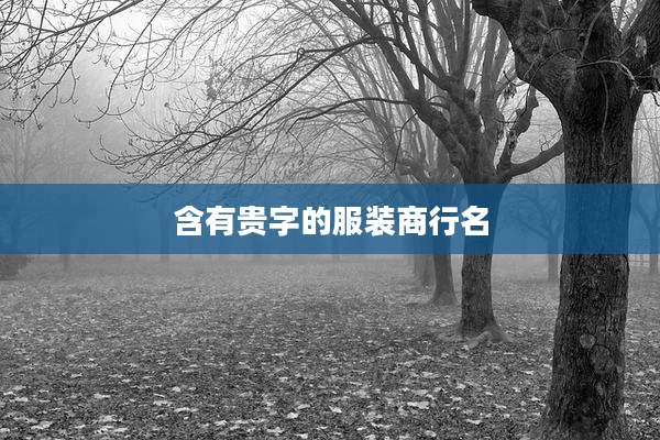 含有贵字的服装商行名