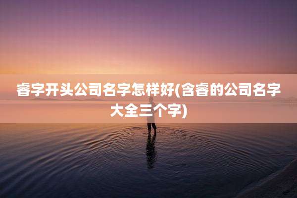 睿字开头公司名字怎样好(含睿的公司名字大全三个字)