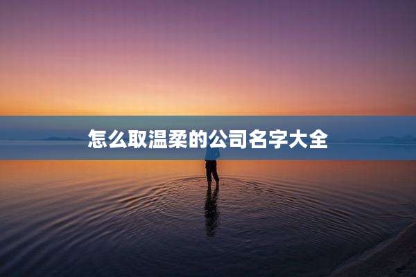 怎么取温柔的公司名字大全