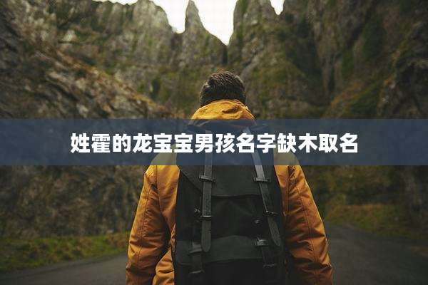 姓霍的龙宝宝男孩名字缺木取名