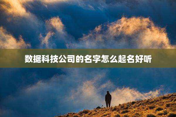 数据科技公司的名字怎么起名好听