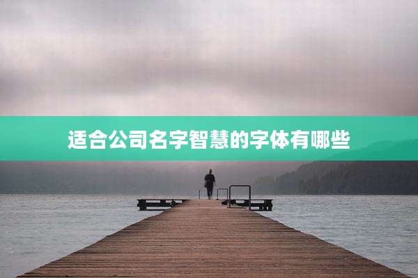 适合公司名字智慧的字体有哪些