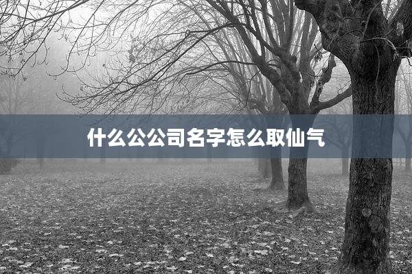 什么公公司名字怎么取仙气