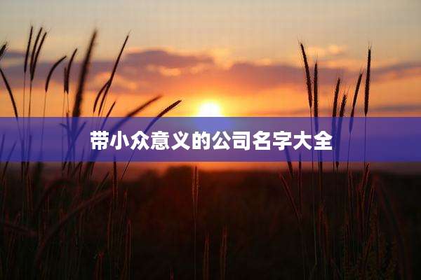 带小众意义的公司名字大全