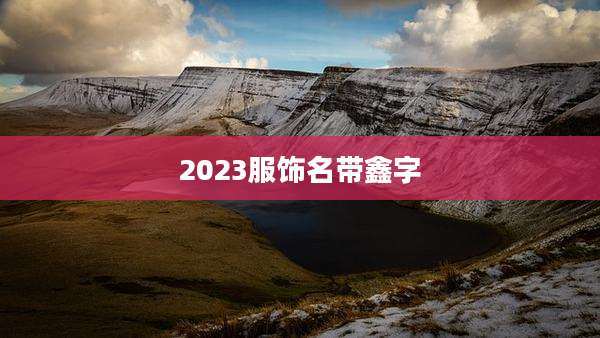 2023服饰名带鑫字