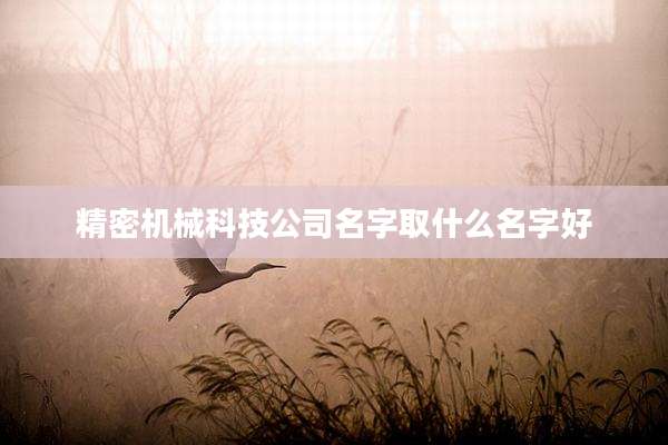 精密机械科技公司名字取什么名字好