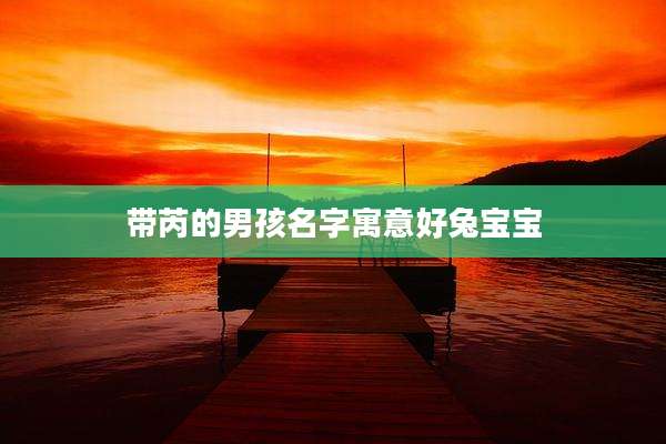 带芮的男孩名字寓意好兔宝宝