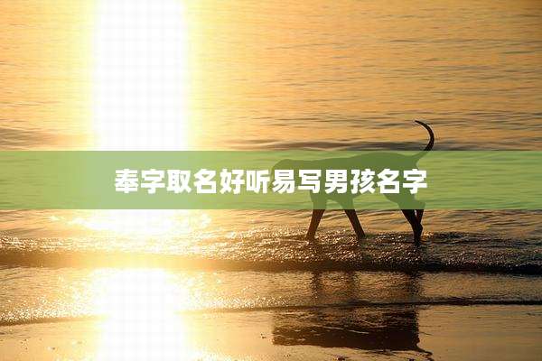 奉字取名好听易写男孩名字