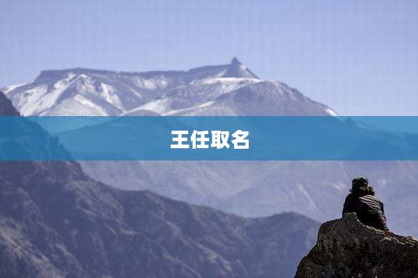 王任取名