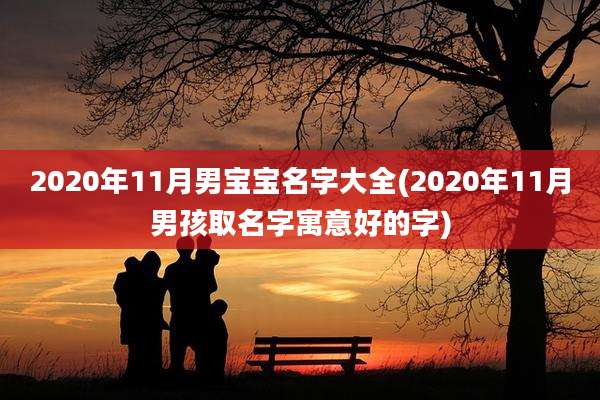 2020年11月男宝宝名字大全(2020年11月男孩取名字寓意好的字)