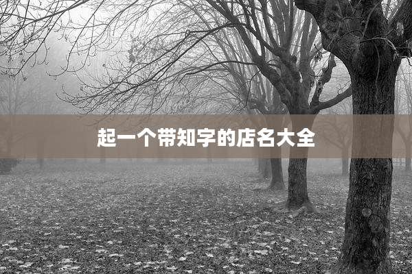 起一个带知字的店名大全