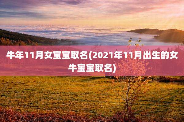 牛年11月女宝宝取名(2021年11月出生的女牛宝宝取名)