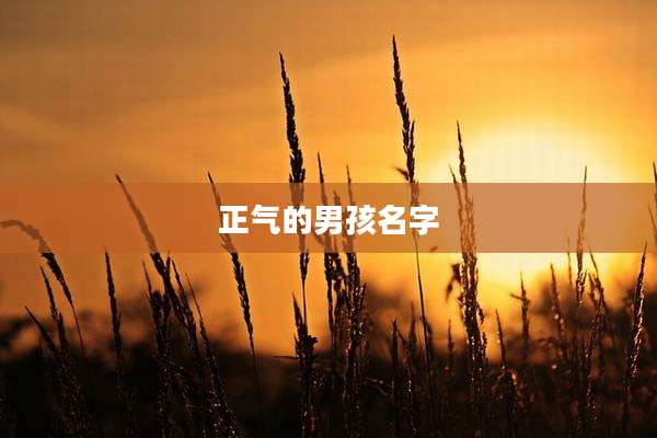 正气的男孩名字