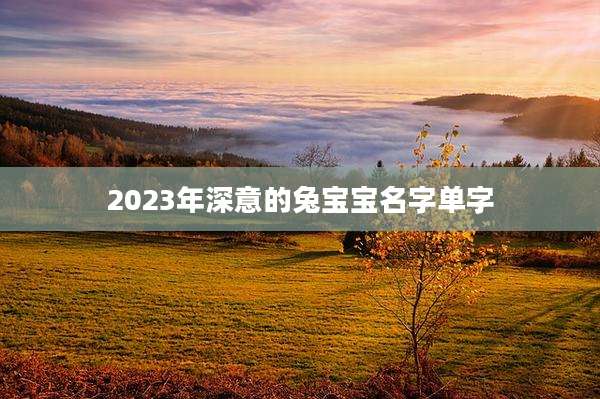 2023年深意的兔宝宝名字单字