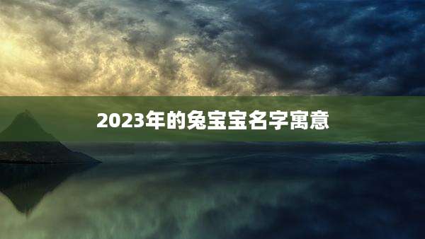 2023年的兔宝宝名字寓意
