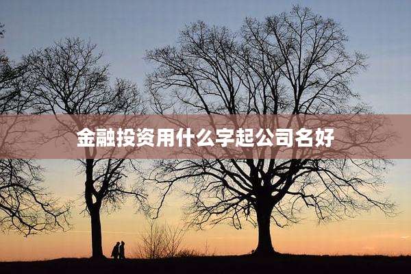 金融投资用什么字起公司名好