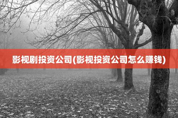 影视剧投资公司(影视投资公司怎么赚钱)
