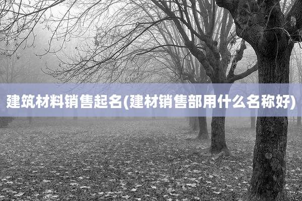 建筑材料销售起名(建材销售部用什么名称好)
