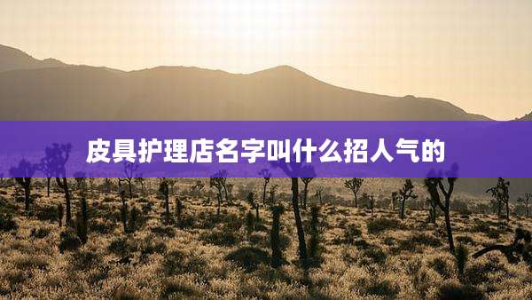皮具护理店名字叫什么招人气的