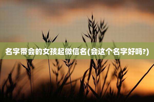 名字带会的女孩起微信名(会这个名字好吗?)