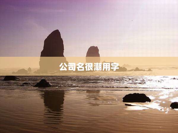 公司名很潮用字