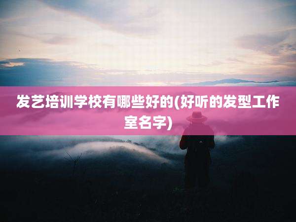 发艺培训学校有哪些好的(好听的发型工作室名字)