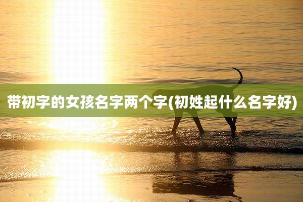 带初字的女孩名字两个字(初姓起什么名字好)