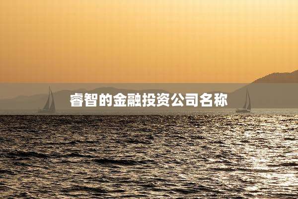 睿智的金融投资公司名称