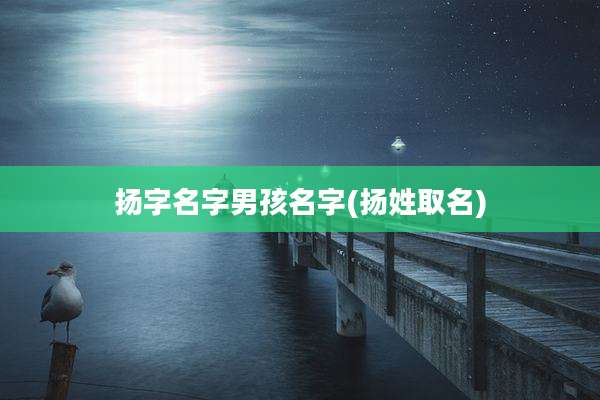 扬字名字男孩名字(扬姓取名)