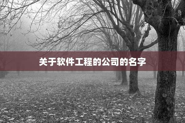 关于软件工程的公司的名字