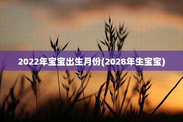 2022年宝宝出生月份(2028年生宝宝)