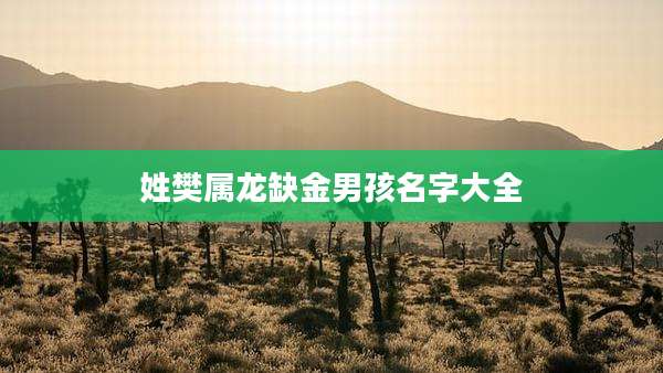 姓樊属龙缺金男孩名字大全